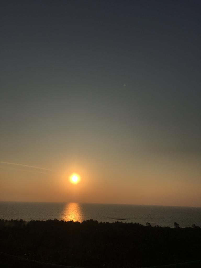 skyline-blue-vista-view-from-terrace