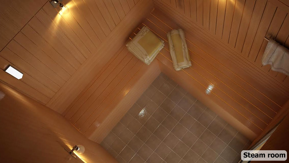 skyline exotica steam room