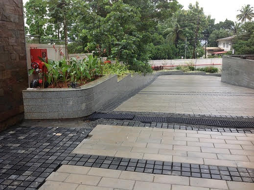 skyline exotica progress image paved paths