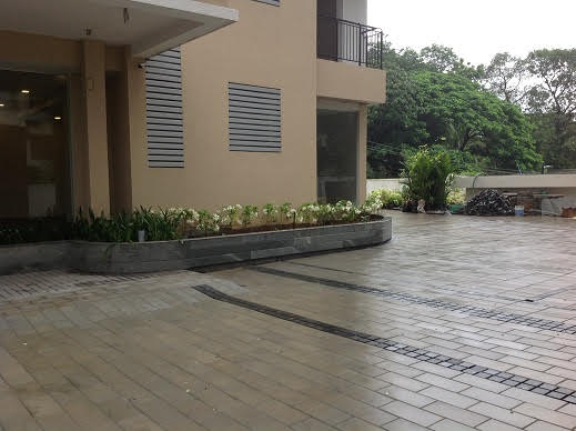 skyline exotica progress image ground floor