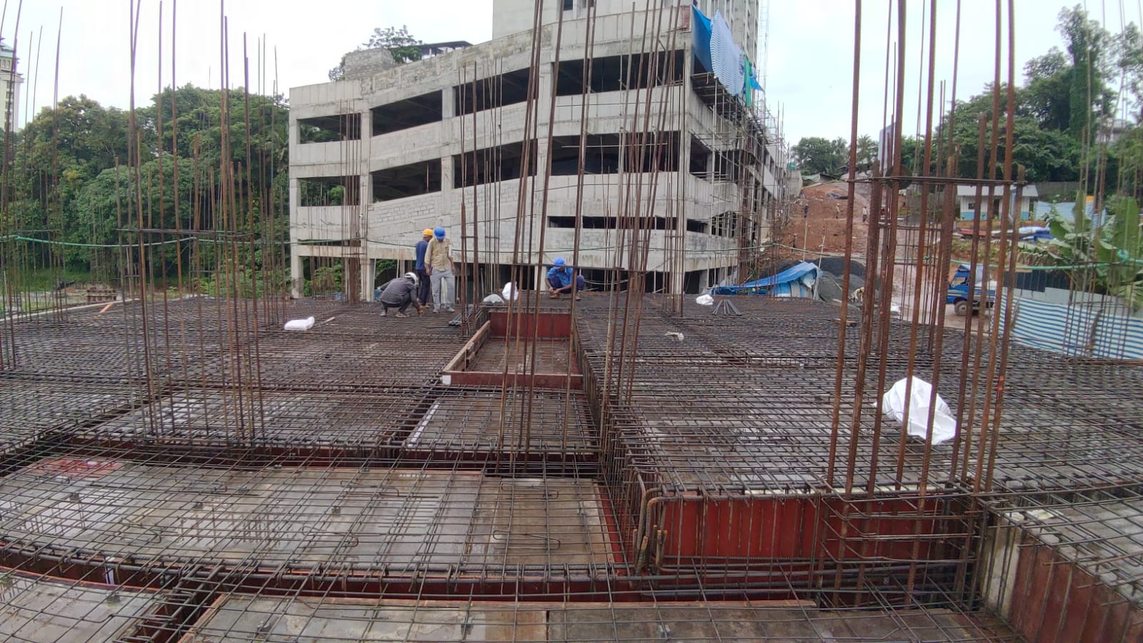 Skyline Xylus construction update 2