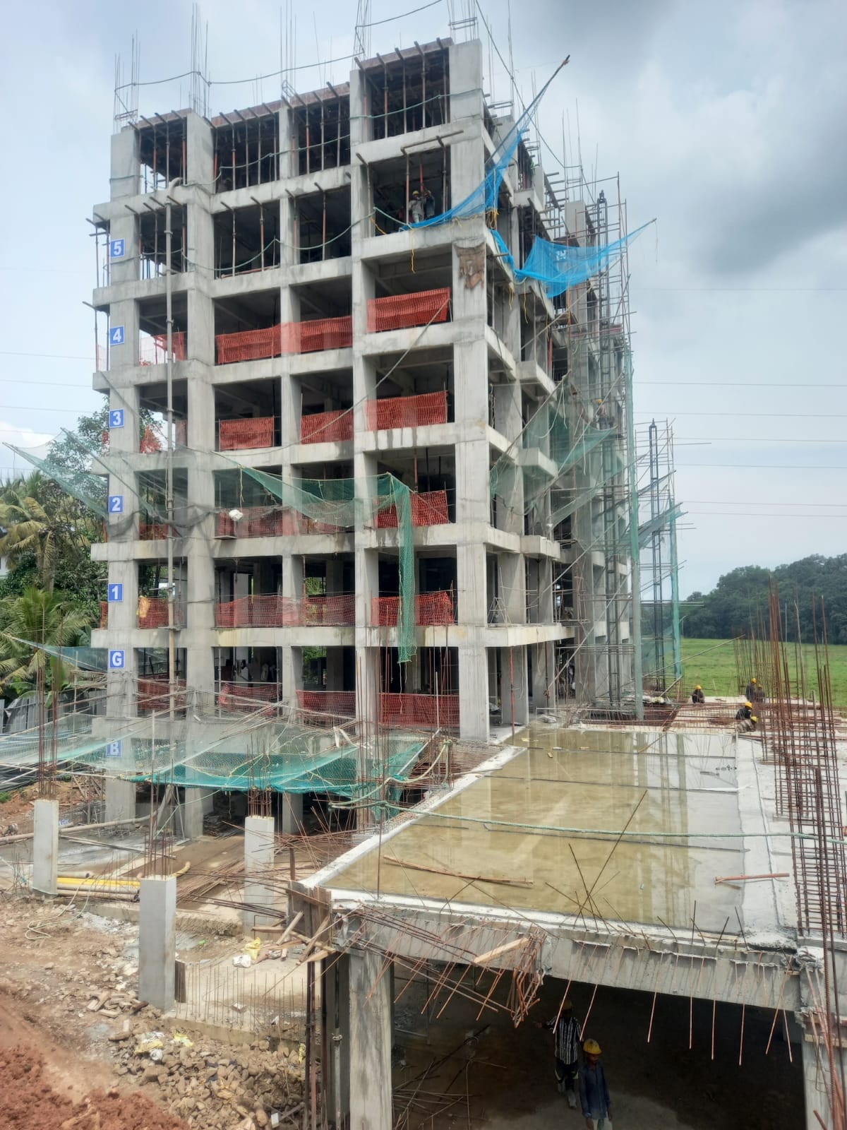 Skyline Xylus Construction Update 8