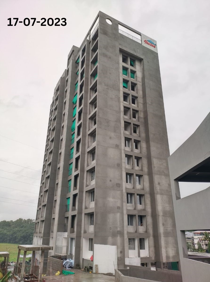 Skyline Xylus Construction Update 9
