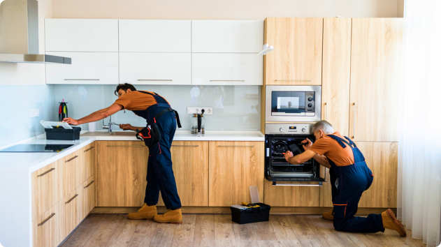 skyline homecare maintanence services