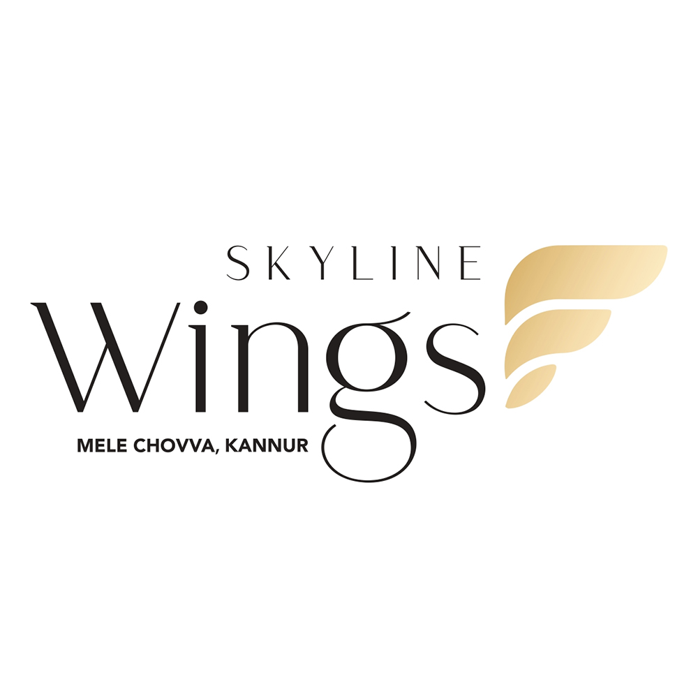 skyline wings logo